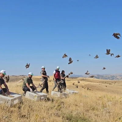 Tunceli’de doğaya 200 kınalı keklik salındı
