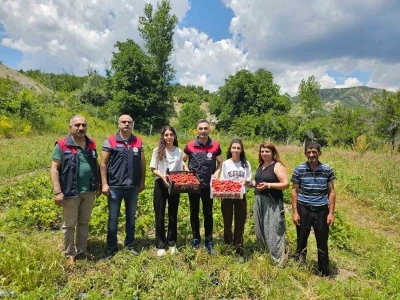 Tunceli&rsquo;de kadın &uuml;reticilerin &ccedil;ilek hasadı y&uuml;z g&uuml;ld&uuml;rd&uuml;
