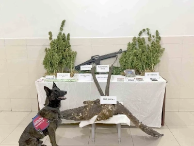 Tunceli’de uyuşturucu operasyonu
