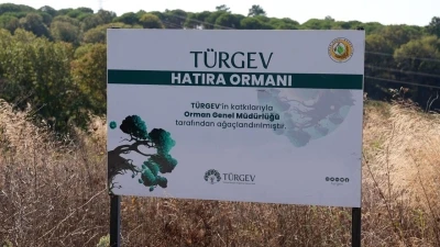 TÜRGEV’in beş yılda 20 bin 615 fidanla yeşerttiği ‘Hatıra Ormanı’ geleceğe umut olacak
