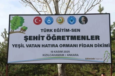 Türk Eğitim-Sen Genel Başkanı Geylan: &quot;Maalesef her yıl on binlerce hektarımız yanıyor&quot;
