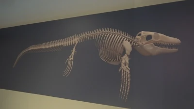 Türk profesör, Asya’da ilk kez keşfedilen &quot;denizlerin dinozoru&quot;nu anlattı
