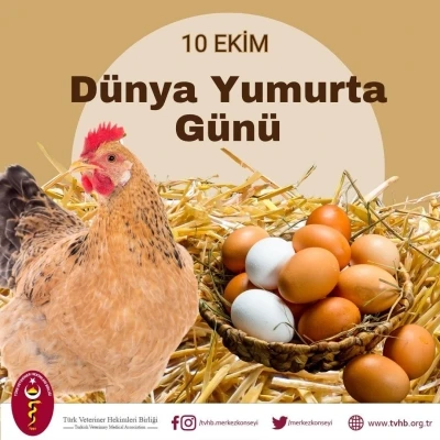 Türk Veteriner Hekimleri Birliği Başkanı Eroğlu: &quot;Yumurta doğanın en eşsiz gıda kaynaklarından biridir&quot;

