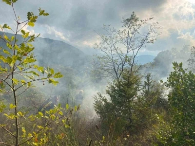 Türkeli’de otluk alanda çıkan yangın söndürüldü
