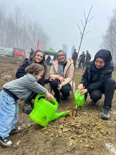 T&uuml;rkeli&rsquo;de y&uuml;zlerce fidan toprakla buluştu
