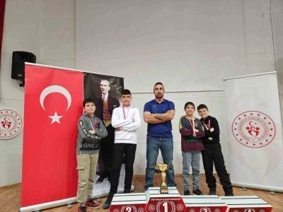 T&uuml;rkeli, satran&ccedil;ta il şampiyonu oldu
