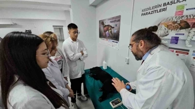 Türkiye’de bir ilk: Meslek yüksekokulunda veteriner sağlık eğitimi simülatörlerle veriliyor

