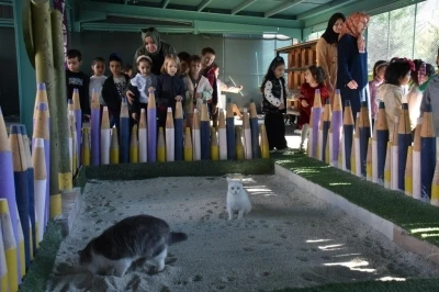 T&uuml;rkiye&rsquo;de ilk olan &rsquo;K&uuml;&ccedil;&uuml;k Dostlar Ambulansı&rsquo; ile 10 bin 280 can kurtarıldı
