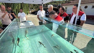 Türkiye’den dünya sofralarına siyah havyar: &quot;Gramı 1 eurodan satılıyor&quot;
