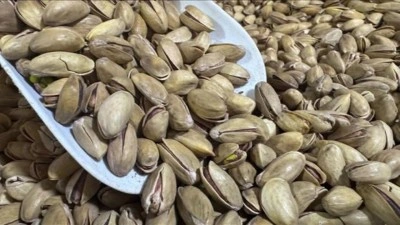 T&uuml;rkiye'den yılın ilk &ccedil;eyreğinde 32,8 milyon dolarlık fıstık ihracatı