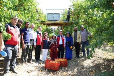 Türkiye genelinde Çanakkale, şeftali’de 2’nci nektarinde 3’üncü sırada
