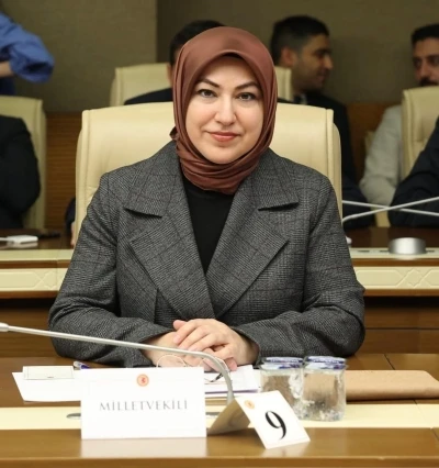 Türkiye’nin doğal miraslarını ilgilendiren kanun teklifi Meclis Başkanlığı’na sunuldu
