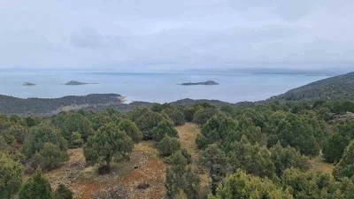 T&uuml;rkiye&rsquo;nin en b&uuml;y&uuml;k tatlı su g&ouml;l&uuml; i&ccedil;in yeni koruma hamlesi
