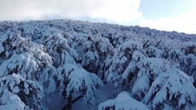 T&uuml;rkiye&rsquo;nin ilk Milli Parkı &Ccedil;amlık&rsquo;ta kar manzarası havadan g&ouml;r&uuml;nt&uuml;lendi
