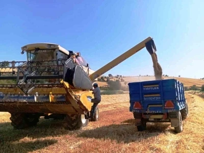 T&uuml;rkiye&rsquo;nin yem bitkisi ihtiyacını Samsun karşılıyor
