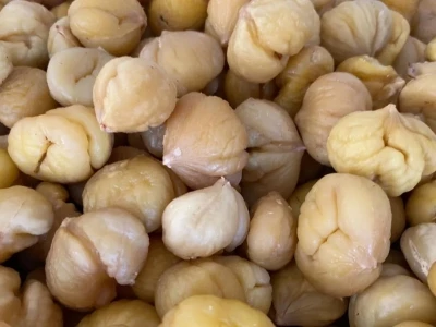 Türkiye’nin yüzde 33’ünü karşılayan Aydın Kestanesi, ihracata hazırlanıyor
