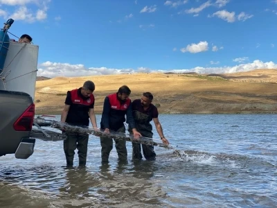 T&uuml;rkiye n&uuml;fusu kadar balık deniz ve g&ouml;llere bırakıldı
