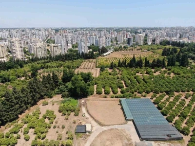 T&uuml;rkiye son 20 yılda, Antalya&rsquo;dan b&uuml;y&uuml;k tarım alanını kaybetti

