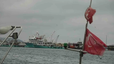 T&uuml;rkiye&rsquo;yi terk eden hamsinin yolu g&ouml;zleniyor
