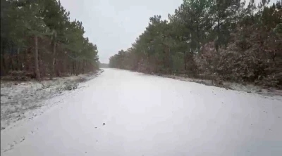 T&uuml;rkmendağı etekleri beyaza b&uuml;r&uuml;nd&uuml;
