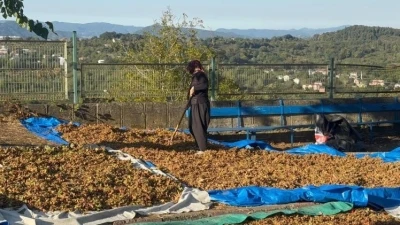 Türkoğlu, &quot;Üreticinin emeğini yok saymayın&quot;

