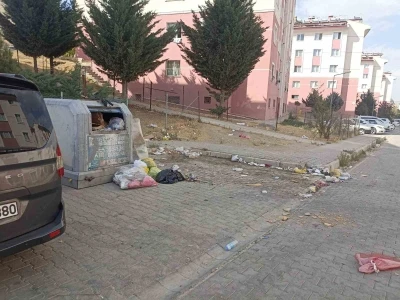 Tuşba’da yol ve çöp sorunu vatandaşları bıktırdı
