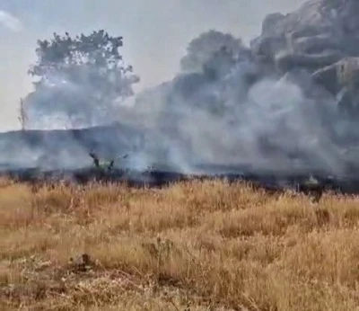 Tut ilçesinde örtü yangını
