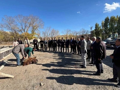 Tutak’ta hayvan pazarı yapılıyor
