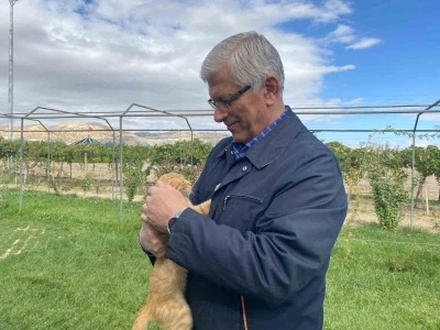 TVHB Genel Başkanı Eroğlu: &quot;Hayvanlara verilen zarar, onlara yapılan işkence insanlık dışı şeylerdir&quot;
