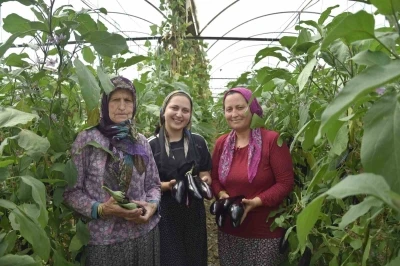 &Uuml;&ccedil; kuşak kadın serada: Nineden toruna hem &uuml;retime hem aile ekonomisine katkı sağlıyorlar
