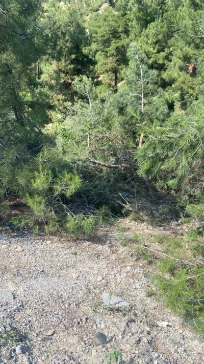 U&ccedil;uruma yuvarlanan trakt&ouml;r s&uuml;r&uuml;c&uuml;s&uuml; hayatını kaybetti
