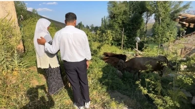 U&ccedil;urumdan d&uuml;şen ineği i&ccedil;in g&ouml;zyaşı d&ouml;ken Ayni teyzeye yardım eli uzatıldı
