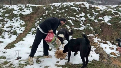 Uludağ&rsquo;da a&ccedil; kalan k&ouml;peklerin imdadına hayvanseverler yetişti
