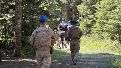 Uludağ&rsquo;ın z&uuml;mr&uuml;t yeşili ormanları Jandarma&rsquo;ya emanet
