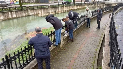 Uludere &Ccedil;ayı&rsquo;nda binlerce &ouml;l&uuml; balık bulundu: Ekipler seferber oldu
