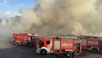 &Uuml;mraniye&rsquo;de hayvan barınağı yakınında korkutan yangın
