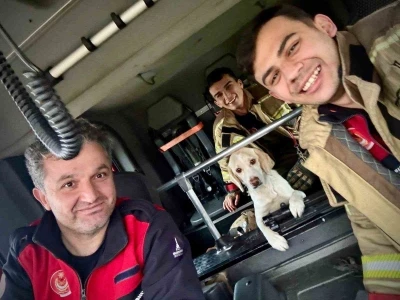 Umuda uzanan eller: Mahsur kalan k&ouml;peği itfaiye kurtardı
