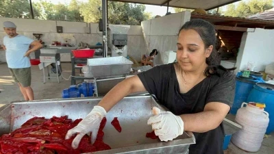 Üniversite mezunu genç kadın, köyünde üretim merkezi kurdu
