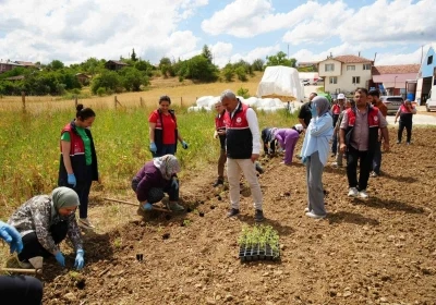 &Uuml;niversite serasında &uuml;retiliyor: &Ccedil;ift&ccedil;ilerin geliri aromatik bitkilerle artacak
