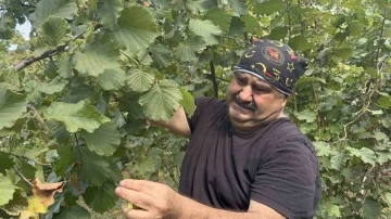 &Uuml;nl&uuml; oyuncu bah&ccedil;eye girip fındık topladı
