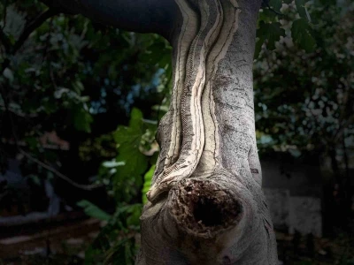 Unutulan sanatı emekliler hayata döndürüyor
