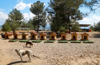 Uşak Belediyesi Başkan Vekili &Ouml;zkan&rsquo;dan hayvan bakımevine ziyaret
