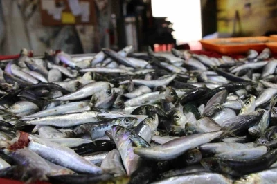 Uşak’ta balık tezgahları doldu
