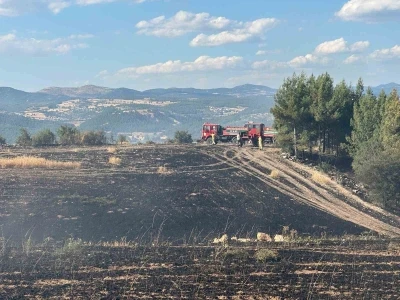 Uşak&rsquo;ta ormanlık alana sı&ccedil;rayan yangın s&ouml;nd&uuml;r&uuml;ld&uuml;
