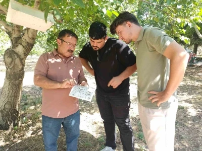 Uşak’ta tarımsal zararlılarla mücadele çalışması
