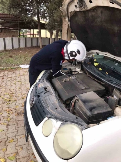 Üşüyen kedi, otomobilin motoruna girdi
