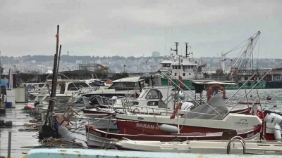 Uyanık l&uuml;fer Karadeniz zekasını kullandı: Denizlerde bol ama ağlara girmiyor
