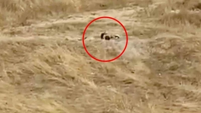 Uygunsuz hareketler sergileyen iki genç gözaltına alındı
