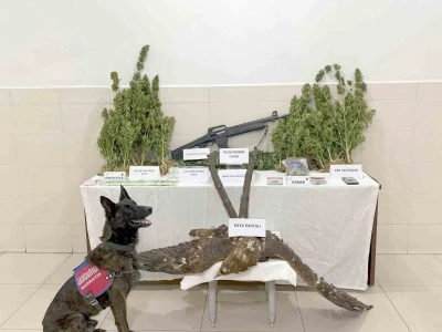 Uyuşturucu ticareti ile kaçak avcılık yapan şahıs tutuklandı
