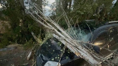 Üzerine ağaç dalı düşen araç kullanılamaz hale geldi
